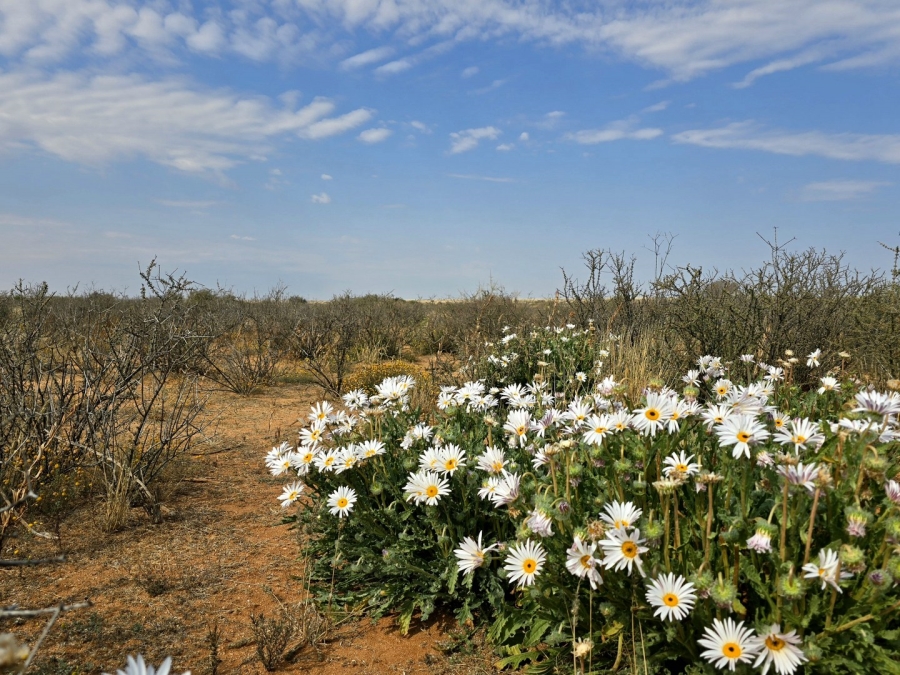 Commercial Property for Sale in Kenhardt Northern Cape